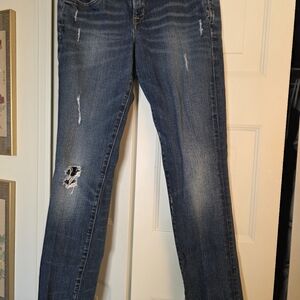 Lucky Lola Skinny Blue Jeans